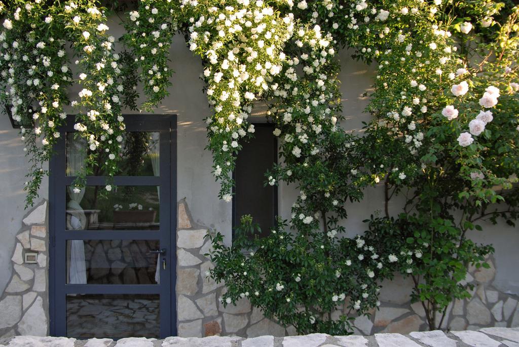 Agriturismo Arte et Agricoltura Toscânia Exterior foto