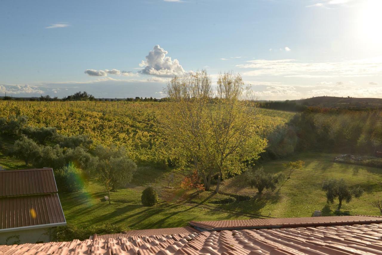 Agriturismo Arte et Agricoltura Toscânia Exterior foto